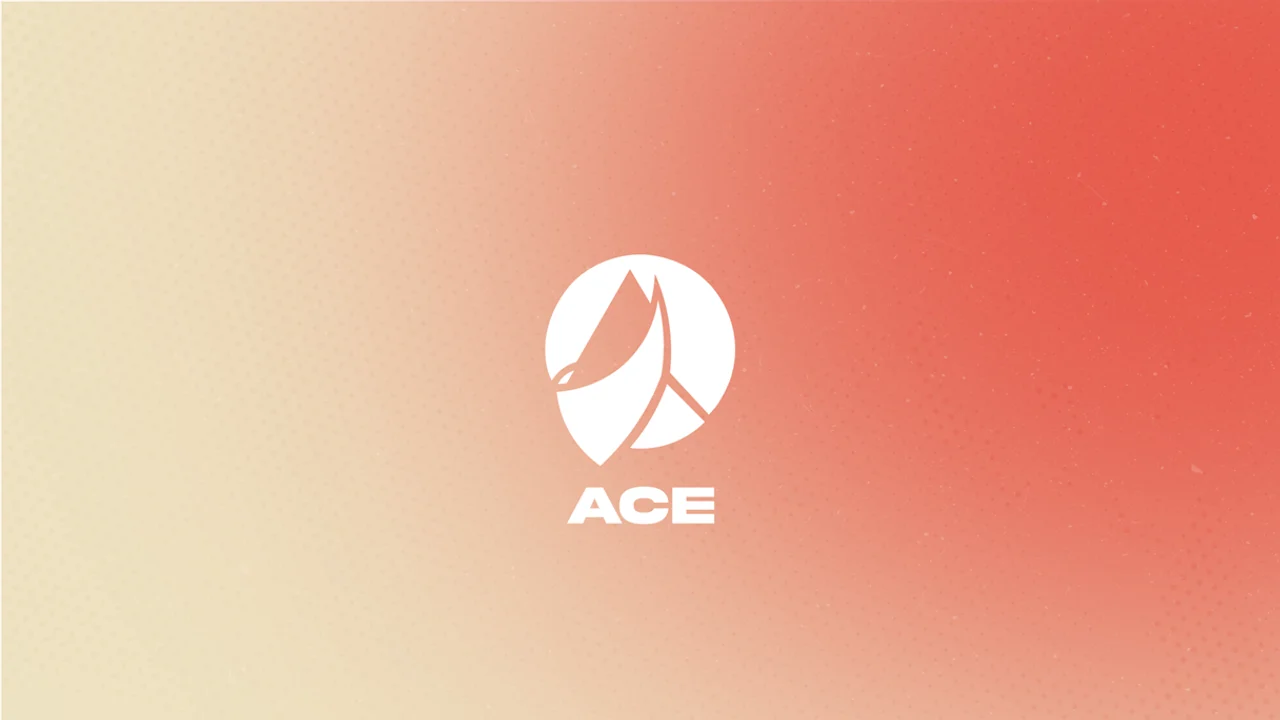 ACE, Co-Founder - Esports Association